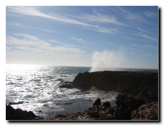 14 Blowholes